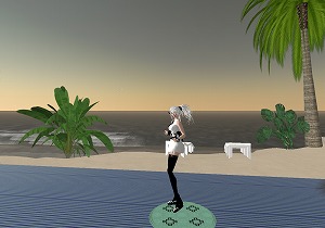 070804-4.jpg