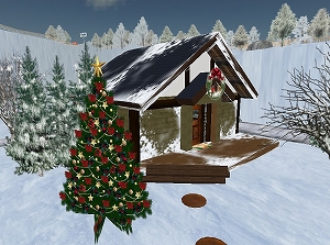 071208-1.jpg