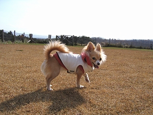 051128-3.jpg
