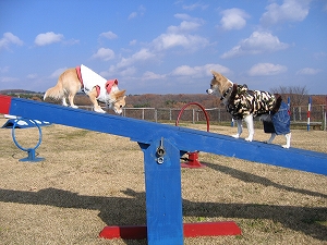 051128-7.jpg