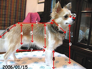 060115-1.jpg