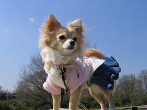 060325-1.jpg