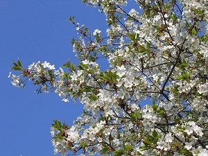 060325-2.jpg