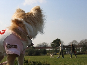 060325-3.jpg