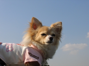 060325-4.jpg