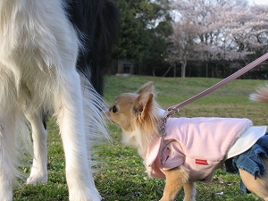 060408-3.jpg