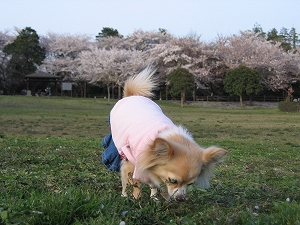 060408-4.jpg