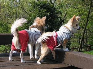 060430-1.jpg