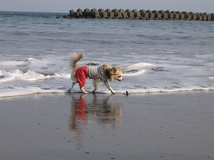 060430-9.jpg