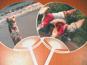 060625-2.jpg