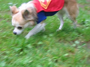 060730-12.jpg