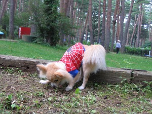 060730-14.jpg
