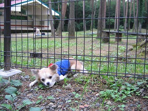 060730-16.jpg