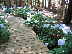 060730-4.jpg