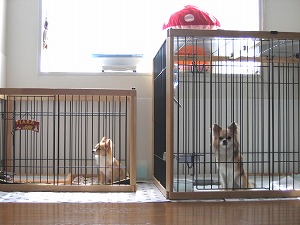 060811-1.jpg