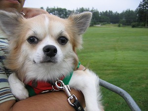 060827-11.jpg
