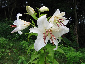 060827-12.jpg