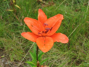 060827-13.jpg