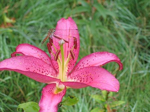 060827-14.jpg