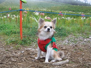 060827-16.jpg