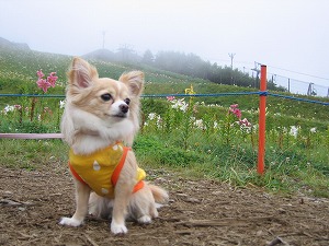 060827-17.jpg