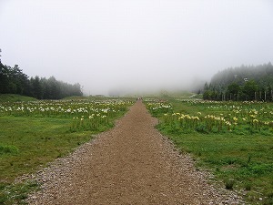 060827-19.jpg