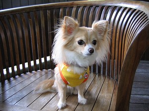 060827-2.jpg