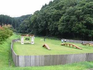 060827-21.jpg