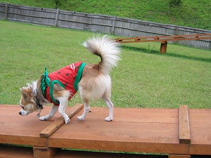 060827-22.jpg