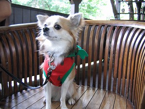 060827-3.jpg