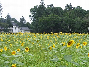 060827-4.jpg