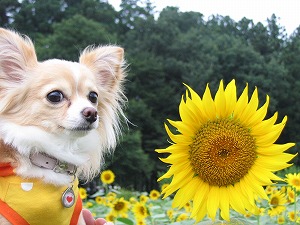 060827-5.jpg
