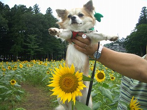 060827-6.jpg