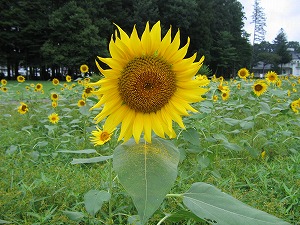 060827-7.jpg