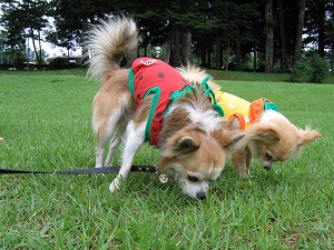 060827-8.jpg