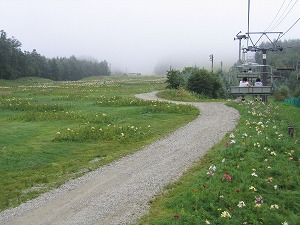 060827-9.jpg