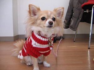 061126-1.jpg
