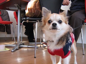 061126-2.jpg