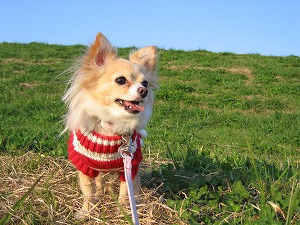 061126-6.jpg