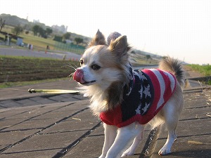 061126-7.jpg