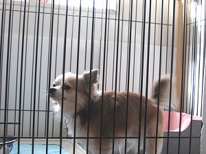 070101-3.jpg