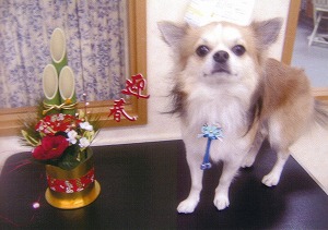 070101-5.jpg