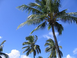 070222-1.jpg
