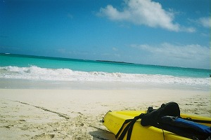 070223-5.jpg