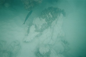 070223-7.jpg