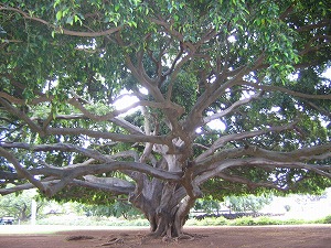 070224-14.jpg