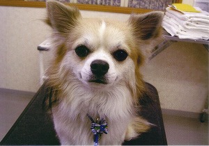 070324-7.jpg