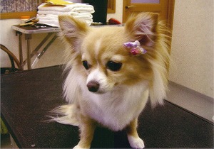 070324-8.jpg