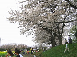 070401-1.jpg