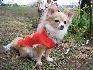 070401-2.jpg